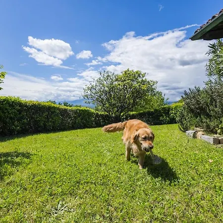 La Casba Del Bruno Selvago 3* Lessona